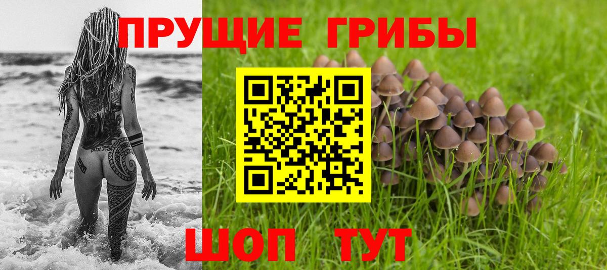 Псилоцибиновые грибы Magic Shrooms Красноярск